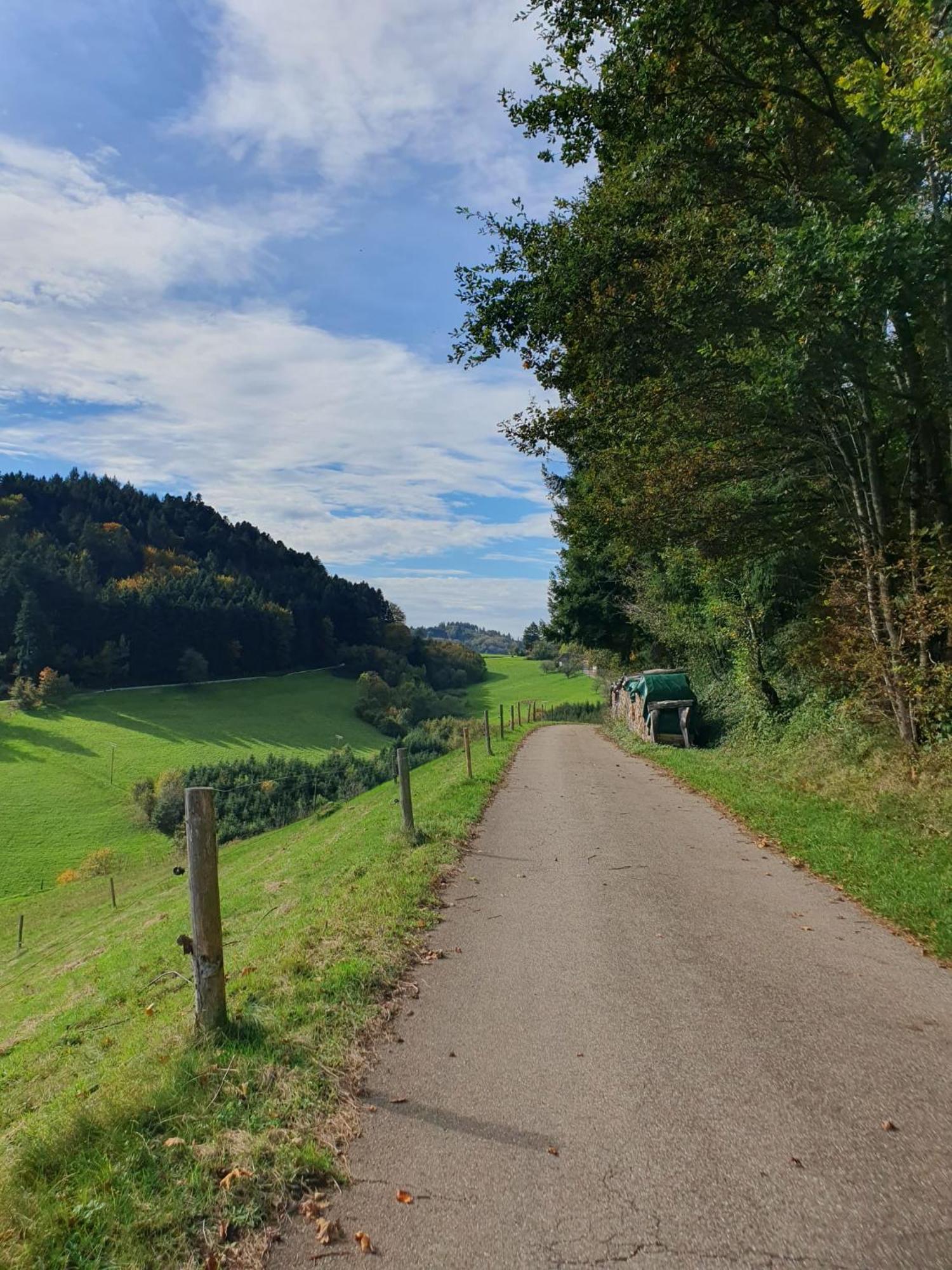 Am Siegelbächle -2 mit E-Bikes Vermietung Siegelau Exterior foto