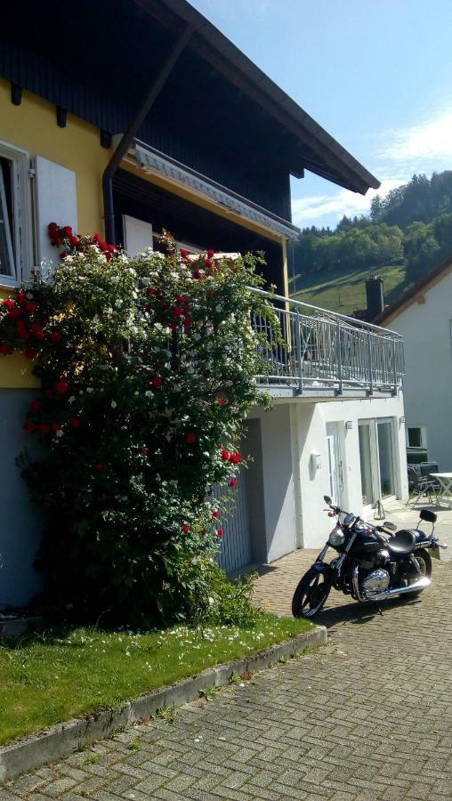 Am Siegelbächle -2 mit E-Bikes Vermietung Siegelau Exterior foto